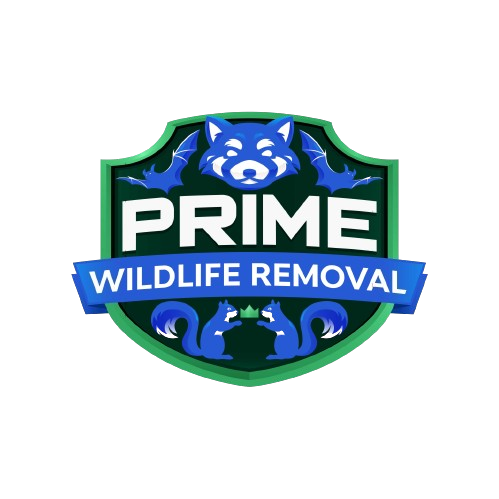 Animal Removal Nashville